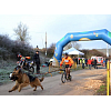 Imagen de noticia: Buena participación de los burgaleses en el III Canicross y el I Bikejoring "Villa de Covarrubias"