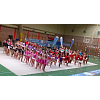 Imagen de noticia: Fiesta de gimnasia rítmica en Melgar